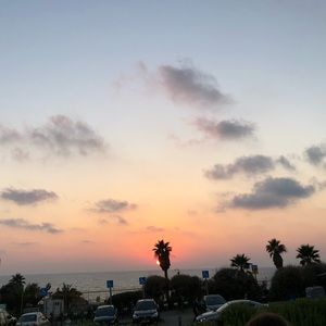 Meet your Posher, Ella